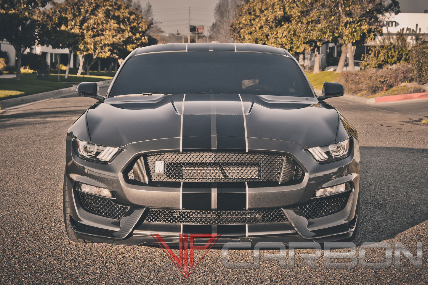 Carbon Fiber GT350 Front bumper panels Ford Mustang 2015-2018