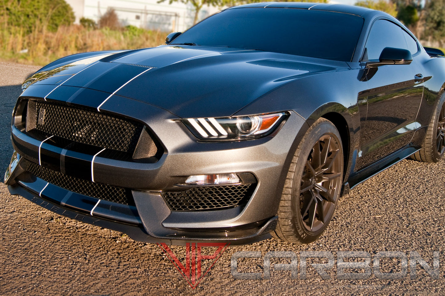 Carbon Fiber GT350 Front bumper panels Ford Mustang 2015-2018