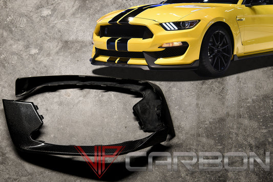 Carbon Fiber GT350 Front bumper panels Ford Mustang 2015-2018