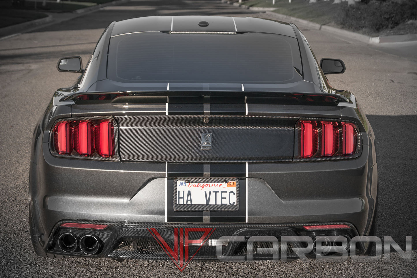 Carbon Fiber GT350 Rear Diffuser Ford Mustang Shelby 2015-2018 by California Super Coupes
