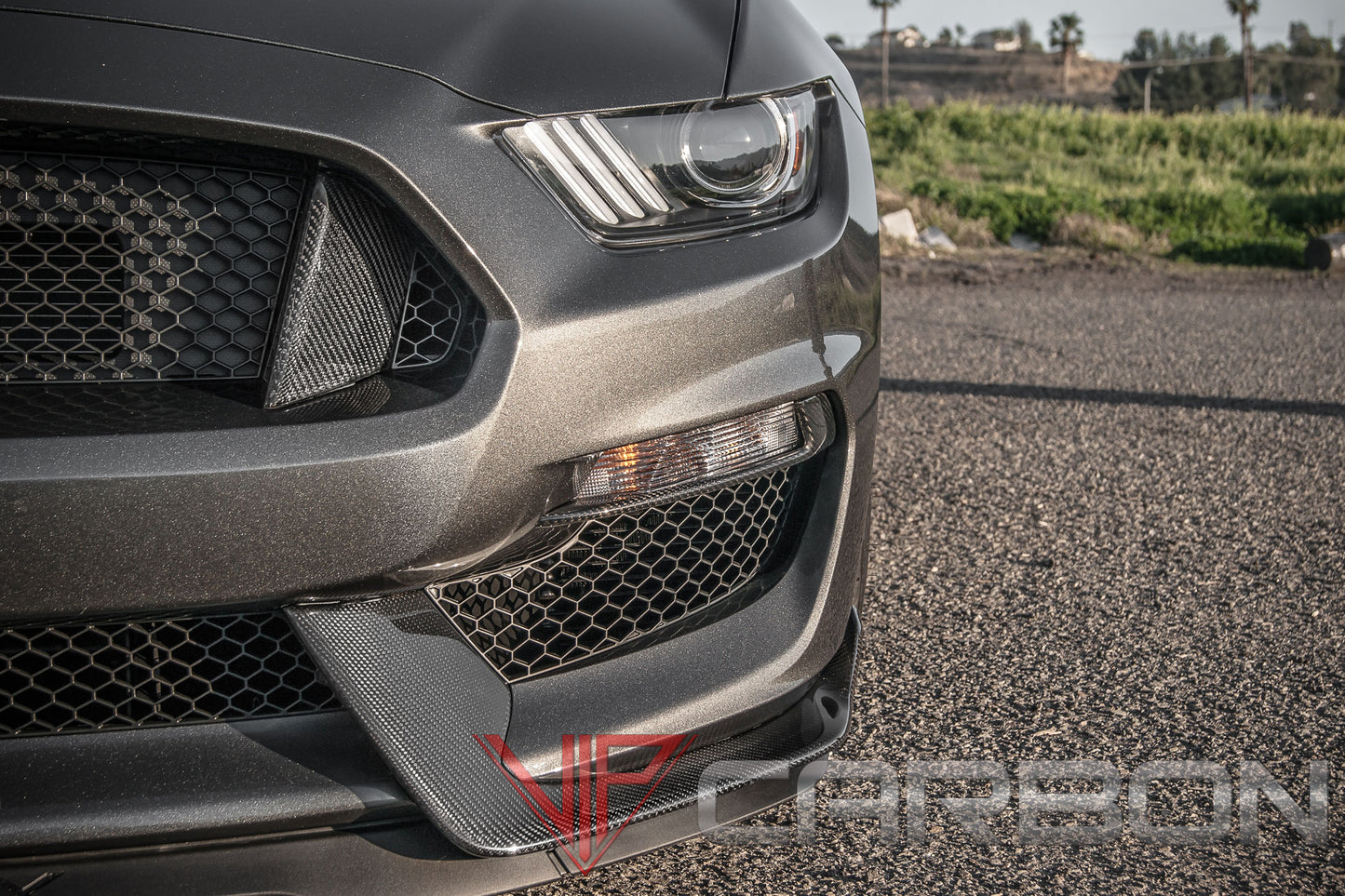 Carbon Fiber GT350 Radiator Opening Molding Ford Mustang 2015-2018 by California Super Coupes