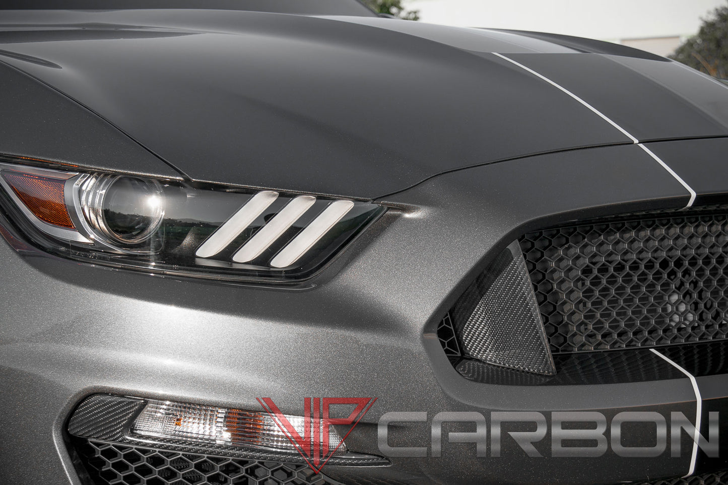 Carbon Fiber GT350 Radiator Opening Molding Ford Mustang 2015-2018 by California Super Coupes
