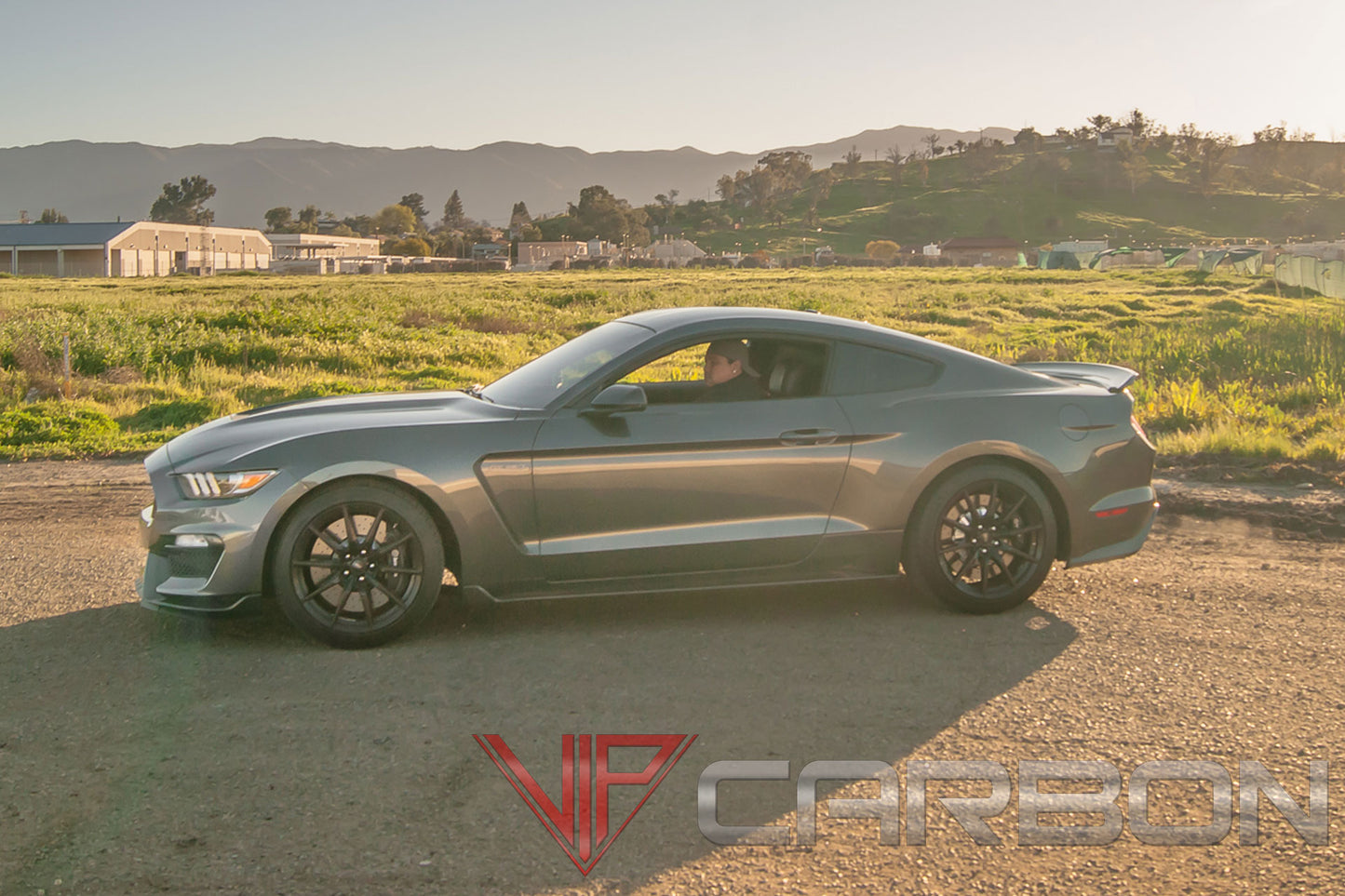 Carbon Fiber GT350 Side Skirts Ford Mustang Shelby 2015-2018 by California Super Coupes