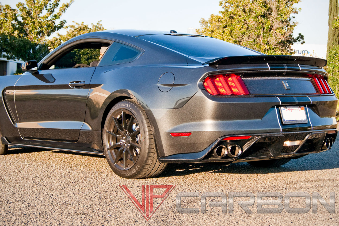 Carbon Fiber GT350 Side Skirts Ford Mustang Shelby 2015-2018 by California Super Coupes