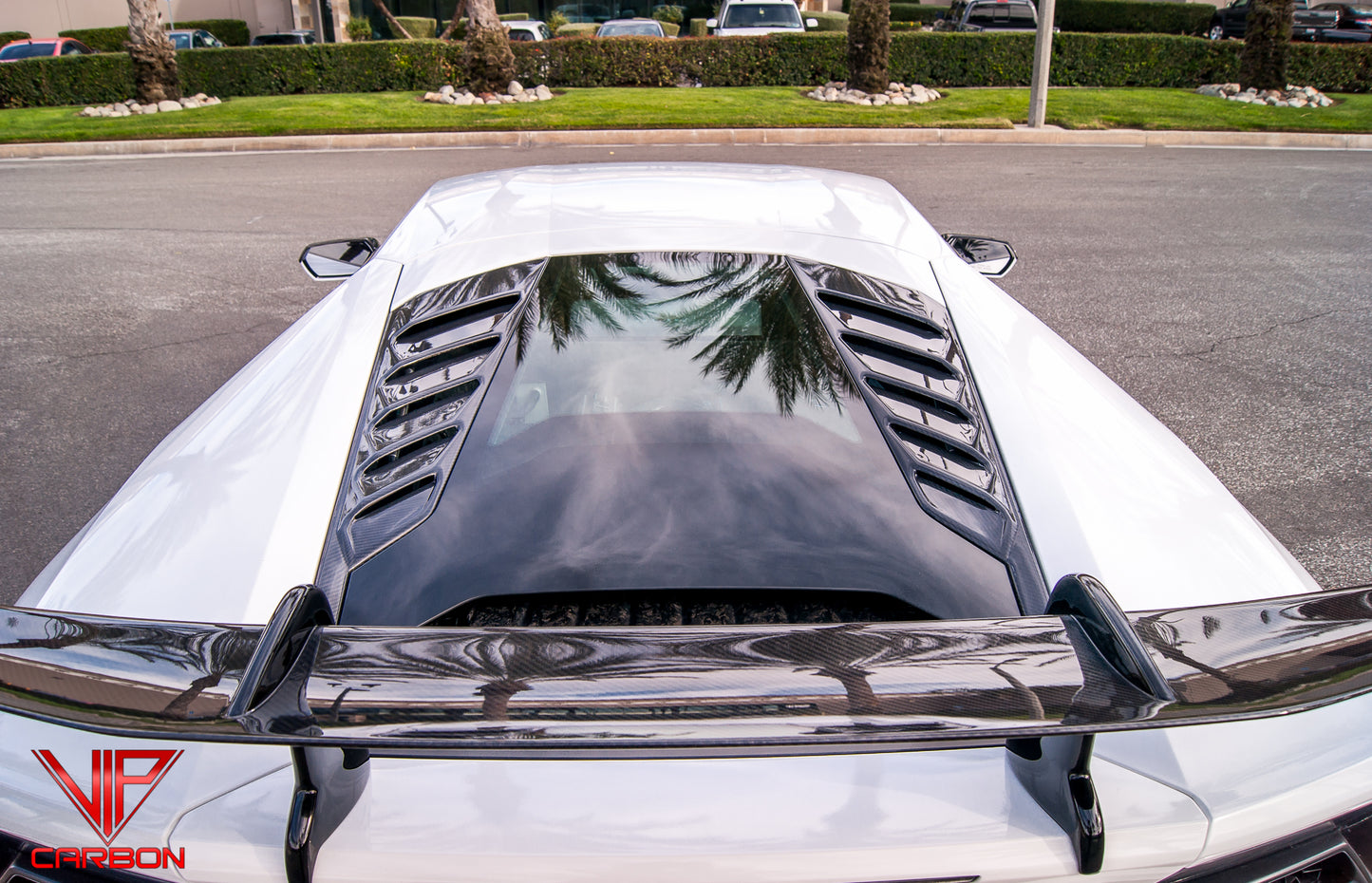 Factory Engine Vents Carbon Fiber Lamborghini Huracan 14-19