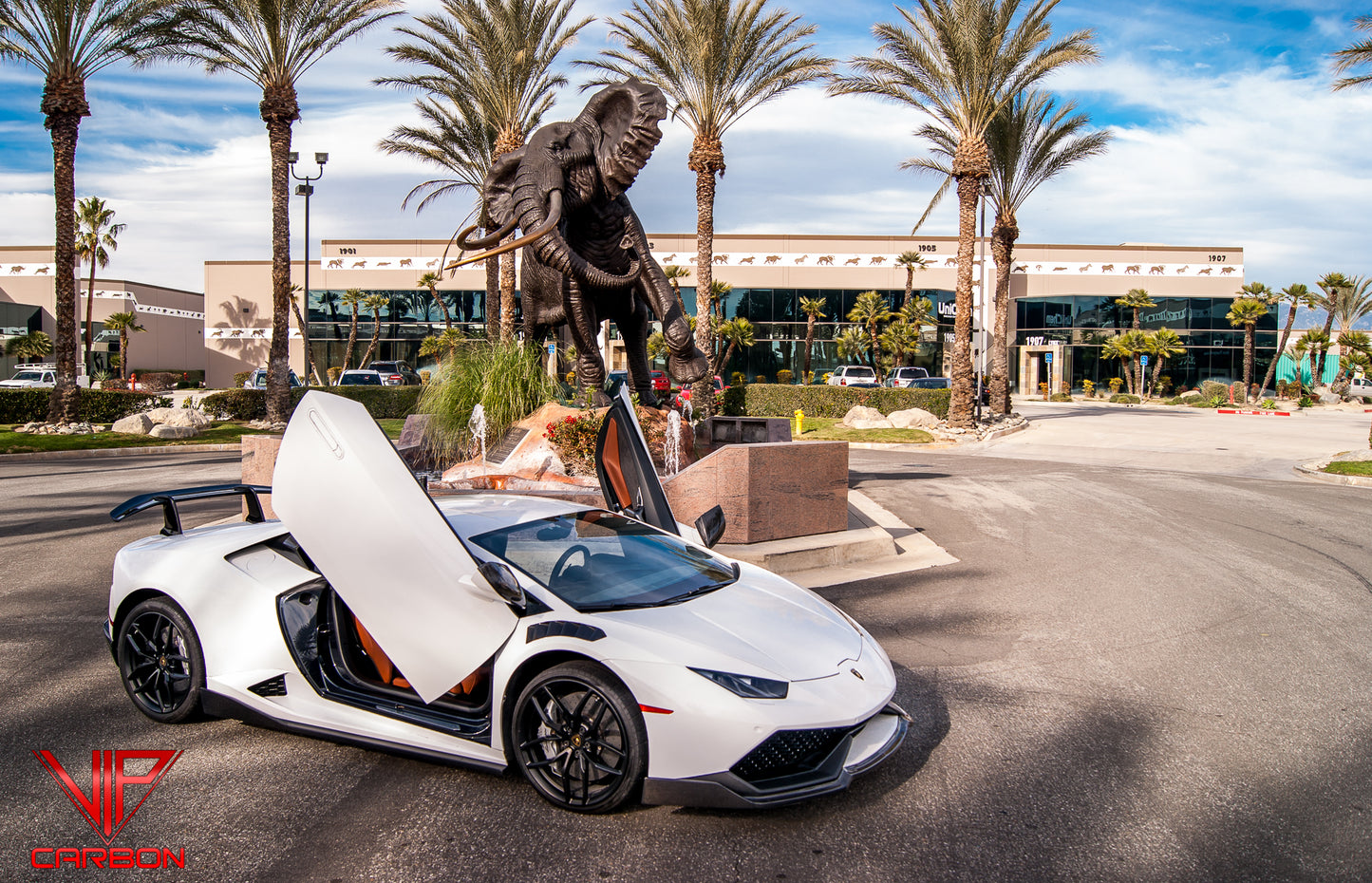 Spyder Side Skirts Carbon Fiber Lamborghini Huracan 14-19