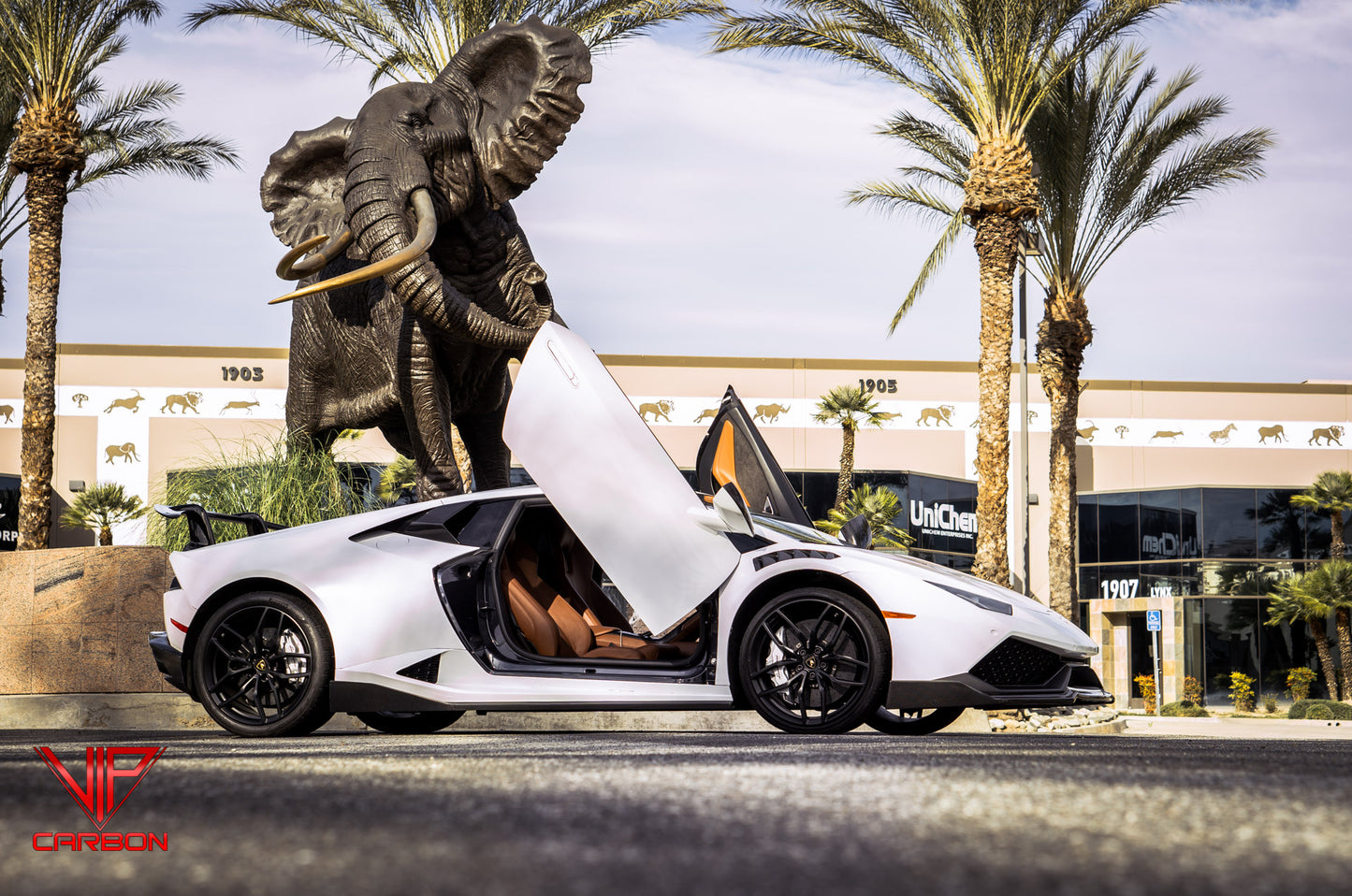 Spyder Side Skirts Carbon Fiber Lamborghini Huracan 14-19