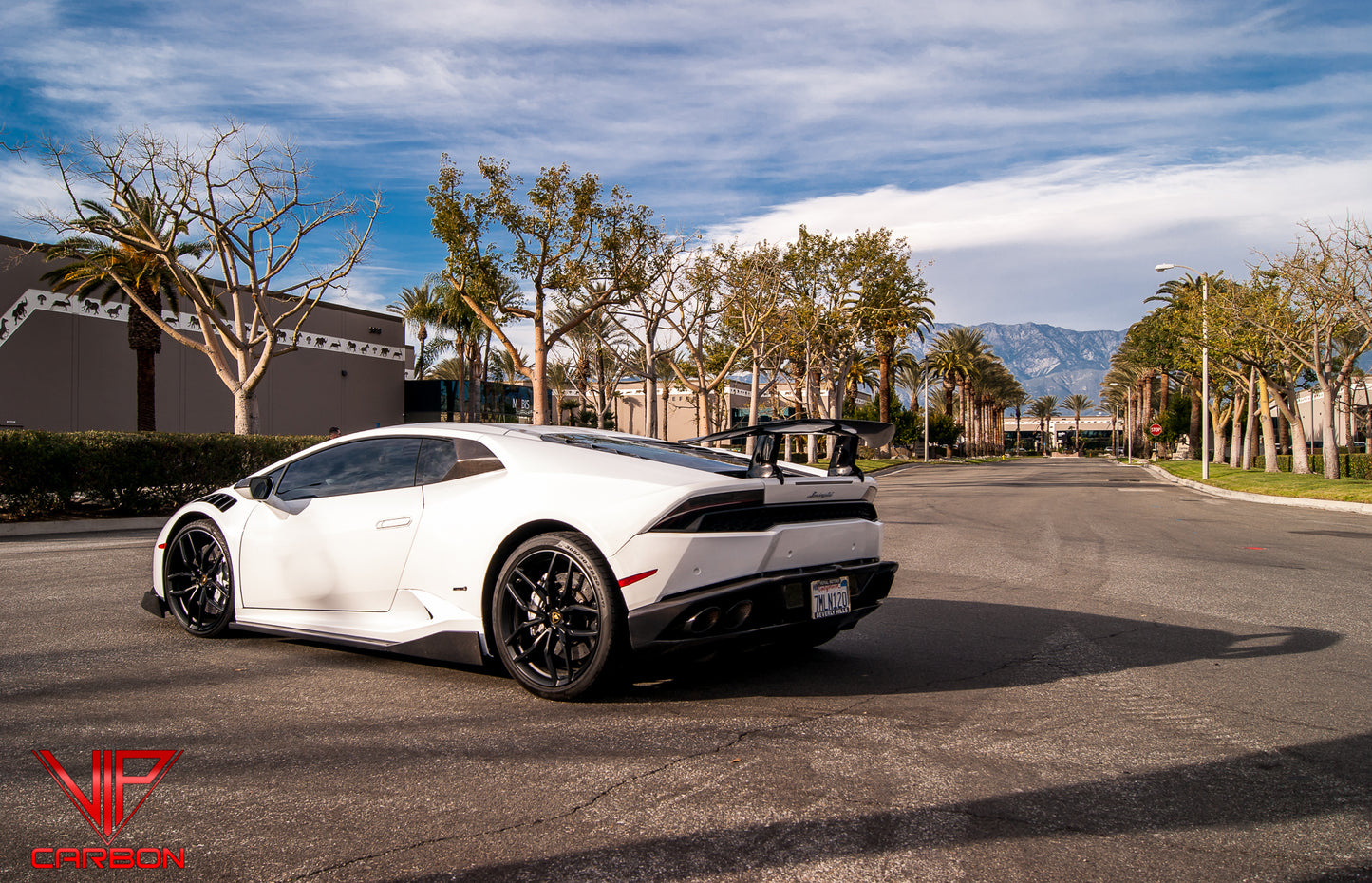 Spyder Side Skirts Carbon Fiber Lamborghini Huracan 14-19
