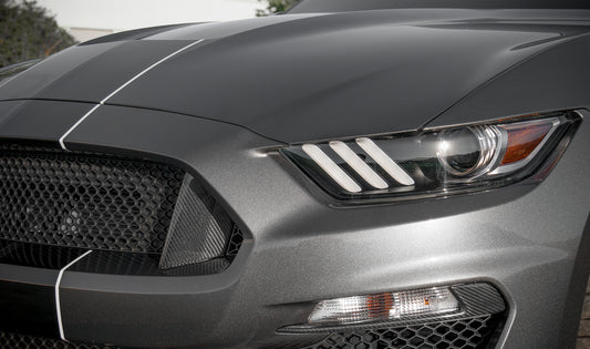 Carbon Fiber GT350 Radiator Opening Molding Ford Mustang 2015-2018 by California Super Coupes